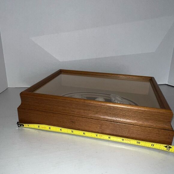 Vintage Sea Shell Framed in Oak Shadow Box Matted Glass Front Nautical Beach - Picture 6 of 8